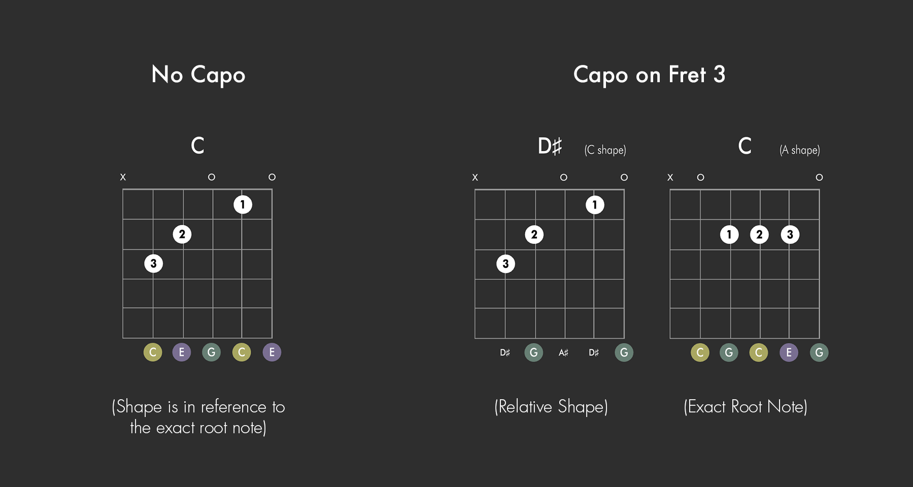 AudioTheory Guitars relative capo