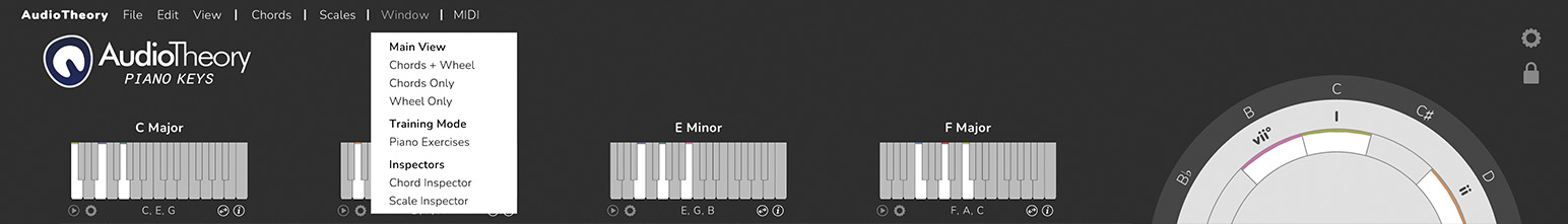 application view options